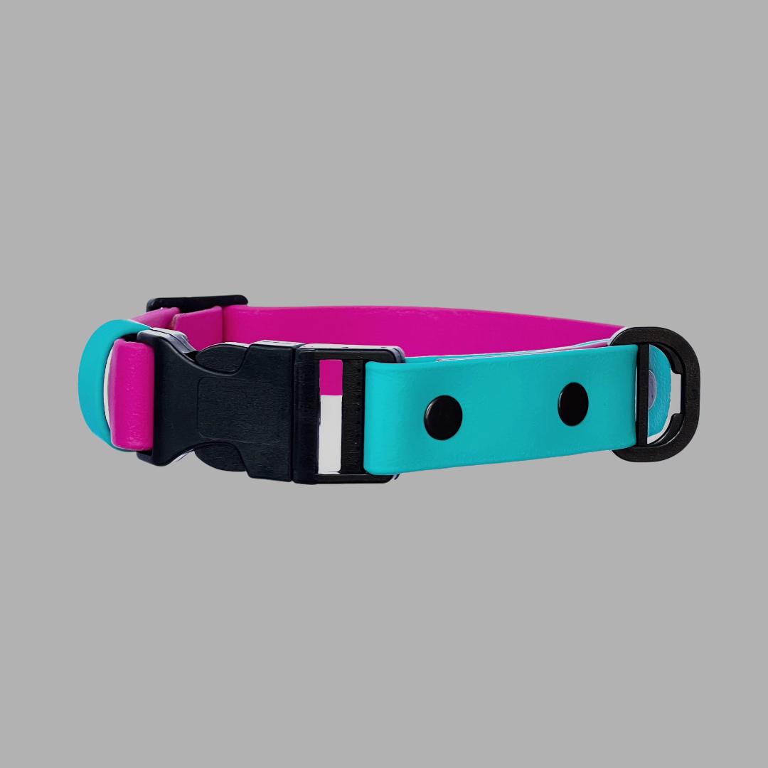 Collar Impermeable con chapa PINK GLOW